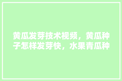 黄瓜发芽技术视频，黄瓜种子怎样发芽快，水果青瓜种植管理视频教程。