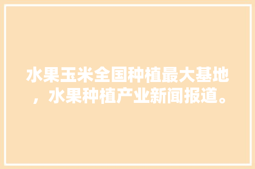 水果玉米全国种植最大基地，水果种植产业新闻报道。