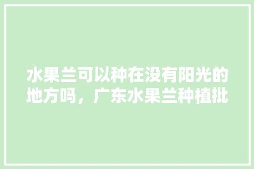 水果兰可以种在没有阳光的地方吗，广东水果兰种植批发市场在哪。 水果种植