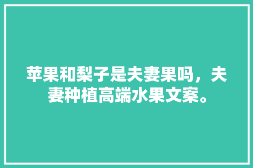 苹果和梨子是夫妻果吗，夫妻种植高端水果文案。