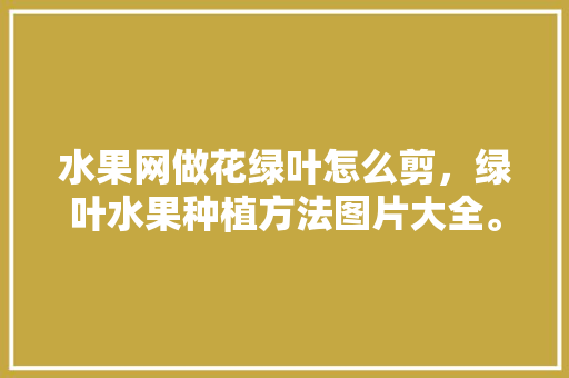 水果网做花绿叶怎么剪，绿叶水果种植方法图片大全。