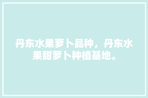 丹东水果萝卜品种，丹东水果甜萝卜种植基地。