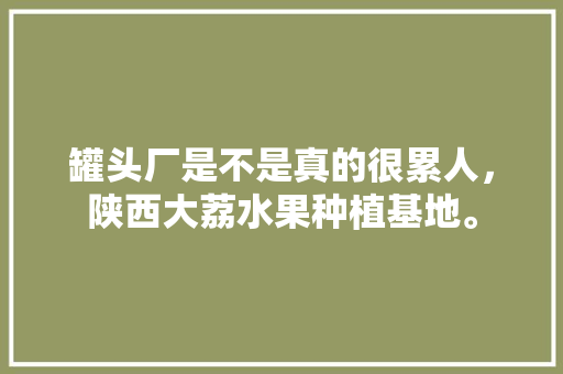 罐头厂是不是真的很累人，陕西大荔水果种植基地。