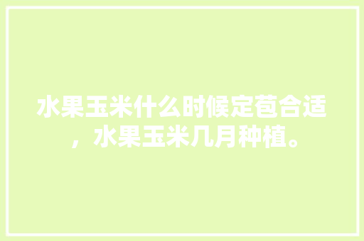 水果玉米什么时候定苞合适，水果玉米几月种植。