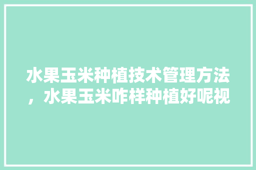 水果玉米种植技术管理方法，水果玉米咋样种植好呢视频。