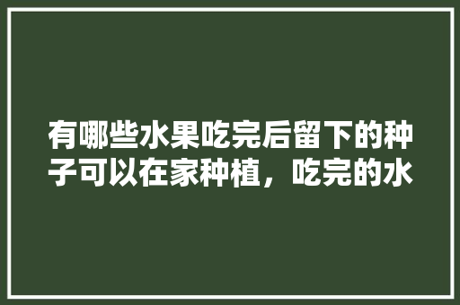 有哪些水果吃完后留下的种子可以在家种植，吃完的水果种子种植怎么处理。