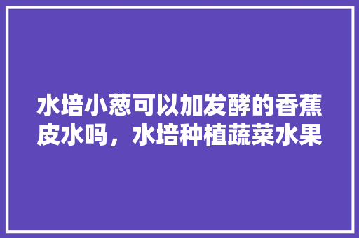 水培小葱可以加发酵的香蕉皮水吗，水培种植蔬菜水果有哪些。