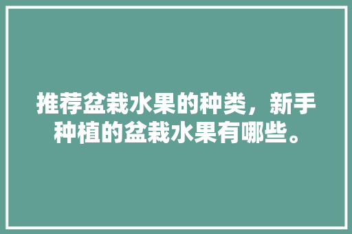 推荐盆栽水果的种类，新手种植的盆栽水果有哪些。