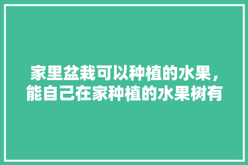 家里盆栽可以种植的水果，能自己在家种植的水果树有哪些。