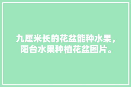 九厘米长的花盆能种水果，阳台水果种植花盆图片。