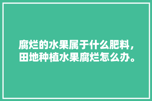 腐烂的水果属于什么肥料，田地种植水果腐烂怎么办。