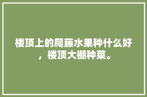 楼顶上的爬藤水果种什么好，楼顶大棚种菜。