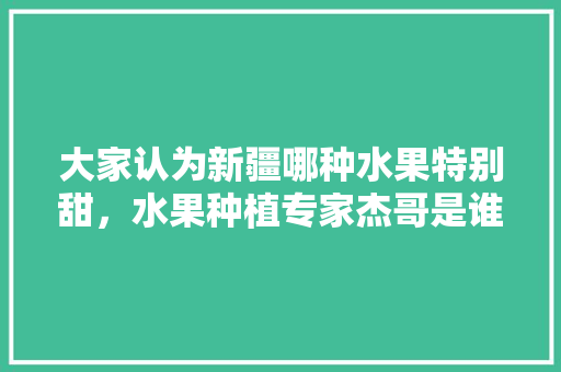 大家认为新疆哪种水果特别甜，水果种植专家杰哥是谁。