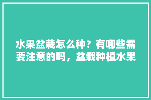 水果盆栽怎么种？有哪些需要注意的吗，盆栽种植水果方法视频。