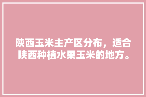 陕西玉米主产区分布，适合陕西种植水果玉米的地方。