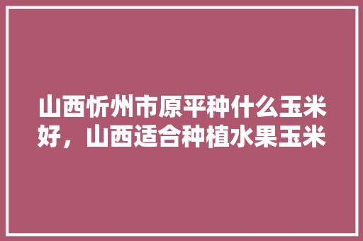 山西忻州市原平种什么玉米好，山西适合种植水果玉米吗。