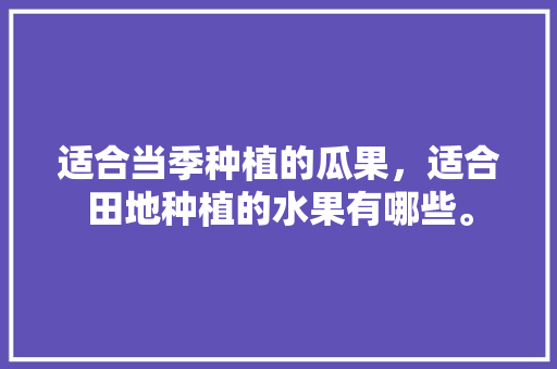 适合当季种植的瓜果，适合田地种植的水果有哪些。