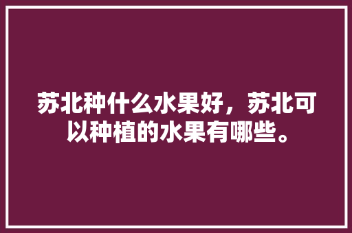 苏北种什么水果好，苏北可以种植的水果有哪些。