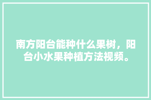 南方阳台能种什么果树，阳台小水果种植方法视频。