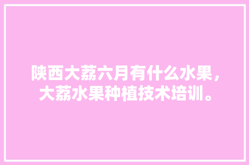 陕西大荔六月有什么水果，大荔水果种植技术培训。