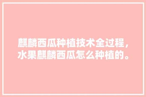 麒麟西瓜种植技术全过程，水果麒麟西瓜怎么种植的。