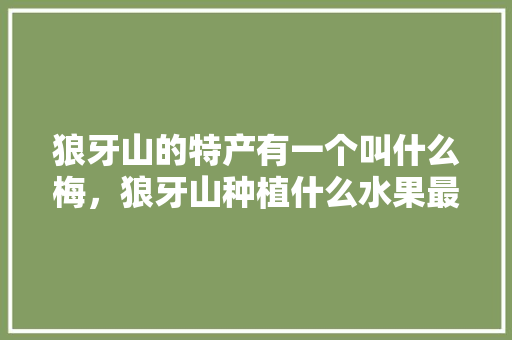 狼牙山的特产有一个叫什么梅，狼牙山种植什么水果最好。