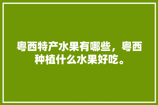 粤西特产水果有哪些，粤西种植什么水果好吃。