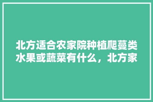 北方适合农家院种植爬蔓类水果或蔬菜有什么，北方家中种植水果有哪些。