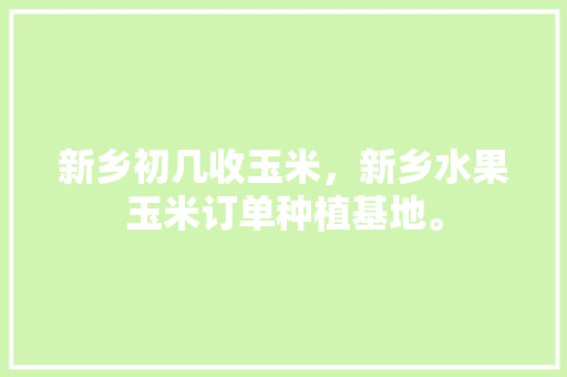 新乡初几收玉米，新乡水果玉米订单种植基地。