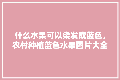 什么水果可以染发成蓝色，农村种植蓝色水果图片大全。