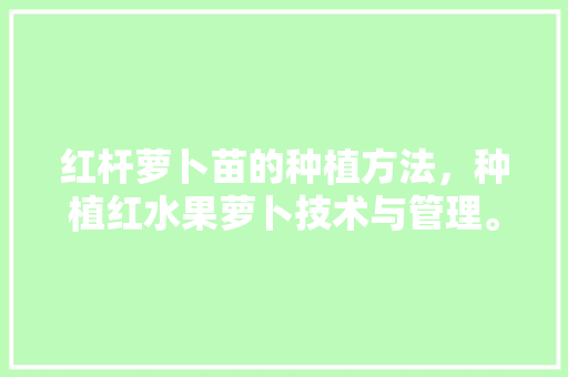 红杆萝卜苗的种植方法，种植红水果萝卜技术与管理。