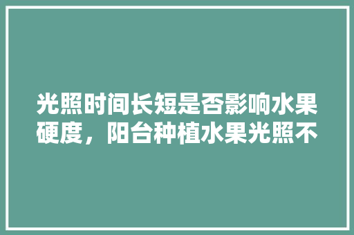 光照时间长短是否影响水果硬度，阳台种植水果光照不足怎么办。