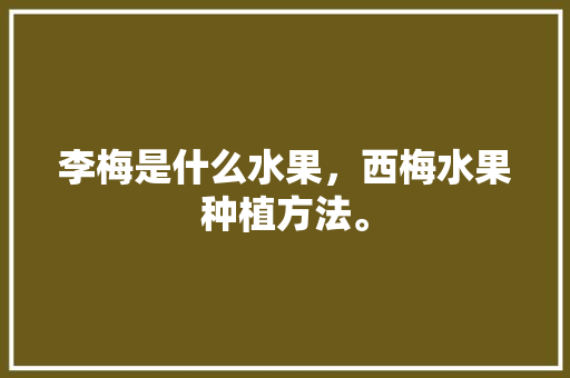 李梅是什么水果，西梅水果种植方法。