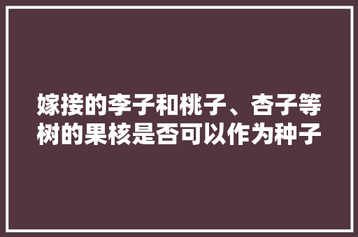 嫁接的李子和桃子、杏子等树的果核是否可以作为种子种植，李子种植水果技术视频。