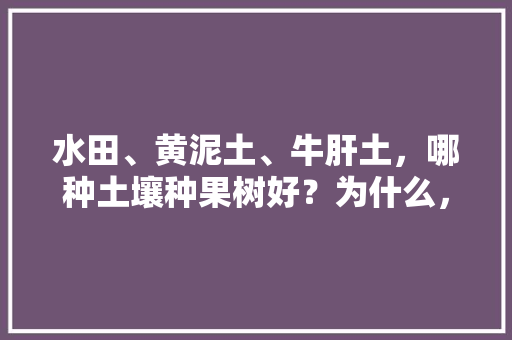 水田、黄泥土、牛肝土，哪种土壤种果树好？为什么，水果种植专用土壤要求标准。