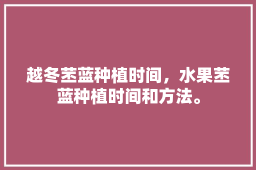 越冬苤蓝种植时间，水果苤蓝种植时间和方法。