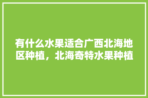 有什么水果适合广西北海地区种植，北海奇特水果种植基地在哪里。 有什么水果适合广西北海地区种植，北海奇特水果种植基地在哪里。 蔬菜种植