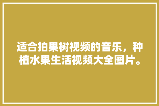 适合拍果树视频的音乐，种植水果生活视频大全图片。 家禽养殖