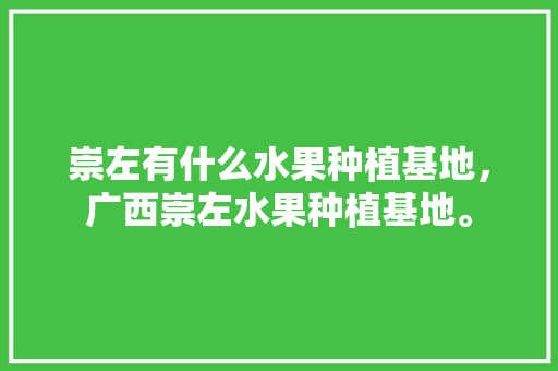 崇左有什么水果种植基地，广西崇左水果种植基地。