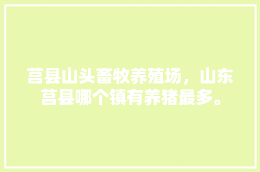 莒县山头畜牧养殖场，山东莒县哪个镇有养猪最多。 莒县山头畜牧养殖场，山东莒县哪个镇有养猪最多。 畜牧养殖