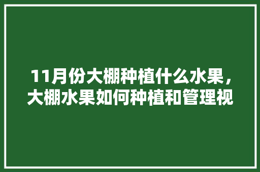 11月份大棚种植什么水果，大棚水果如何种植和管理视频。