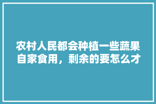 农村人民都会种植一些蔬果自家食用，剩余的要怎么才能销售出去，种植水果销售方法有哪些。