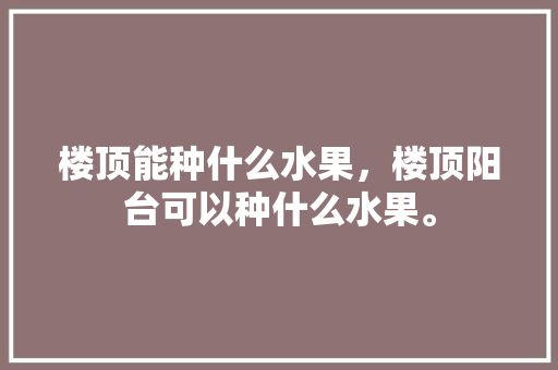 楼顶能种什么水果，楼顶阳台可以种什么水果。