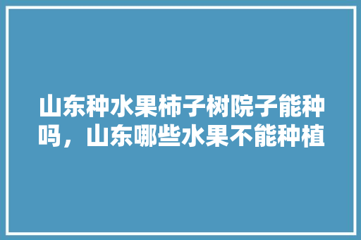 山东种水果柿子树院子能种吗，山东哪些水果不能种植的。