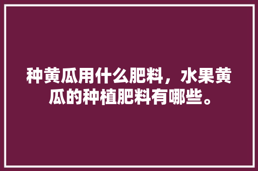 种黄瓜用什么肥料，水果黄瓜的种植肥料有哪些。