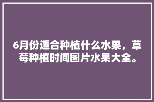 6月份适合种植什么水果，草莓种植时间图片水果大全。