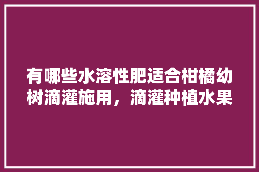 有哪些水溶性肥适合柑橘幼树滴灌施用，滴灌种植水果好吗。