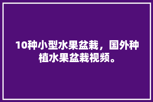 10种小型水果盆栽，国外种植水果盆栽视频。