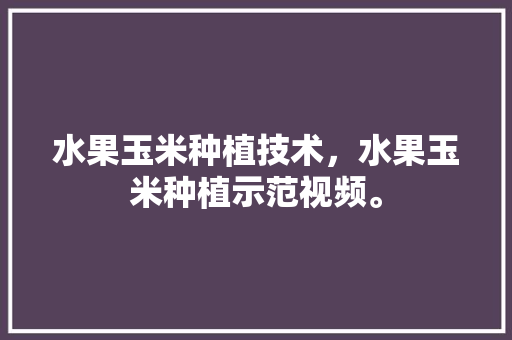 水果玉米种植技术，水果玉米种植示范视频。