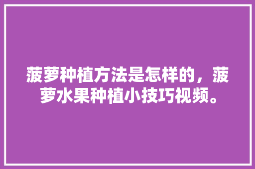 菠萝种植方法是怎样的，菠萝水果种植小技巧视频。